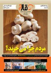 فصلنامه قارچ سال دوم شماره سه