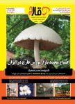 فصلنامه قارچ سال دوم شماره چهارم