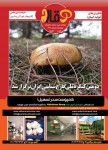 فصلنامه قارچ سال سوم ویژه نامه تابستان